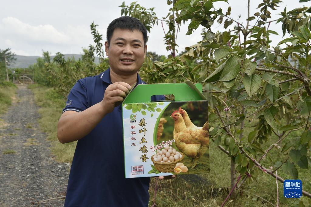 送38捕鱼游戏